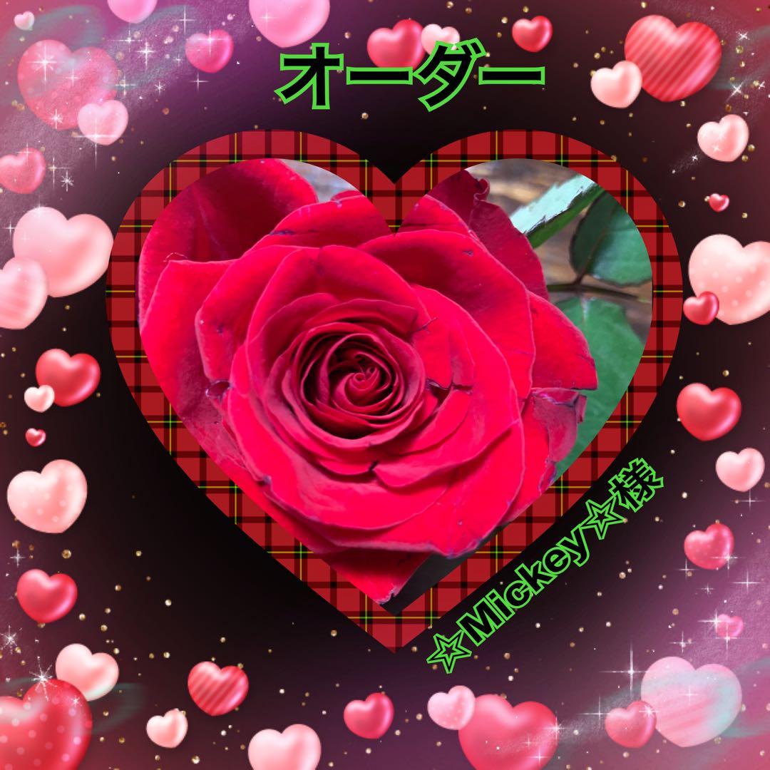 オーダー♡☆Mickey☆様