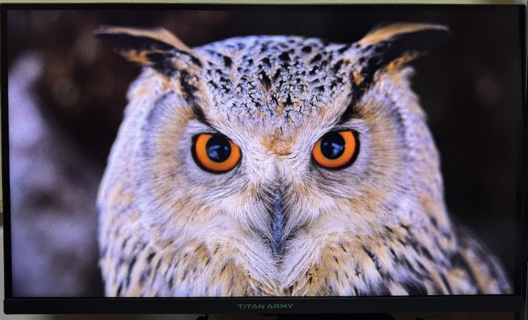 TITAN ARMY P275MS 27インチ 超美品 量子ドットminiLED