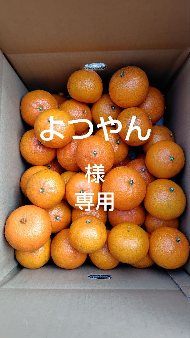 津之輝20㎏(家庭用)よつやん