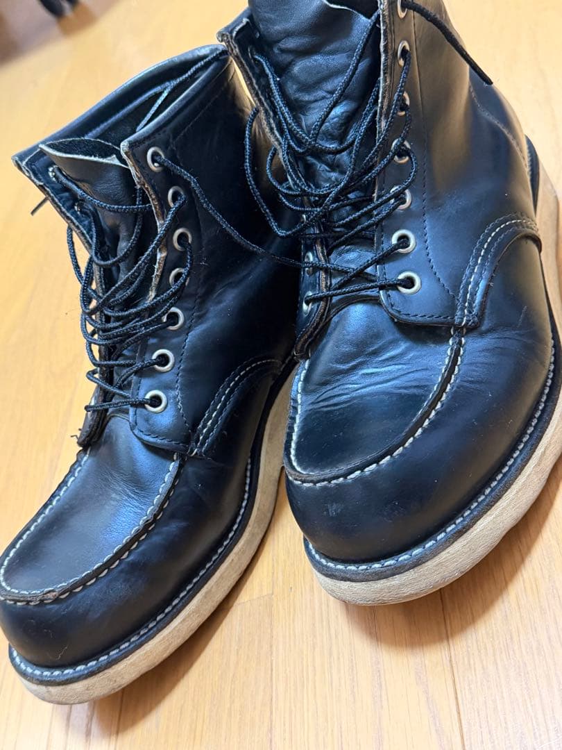 Do-san専用 綺麗なアイリッシュセッター 27.5