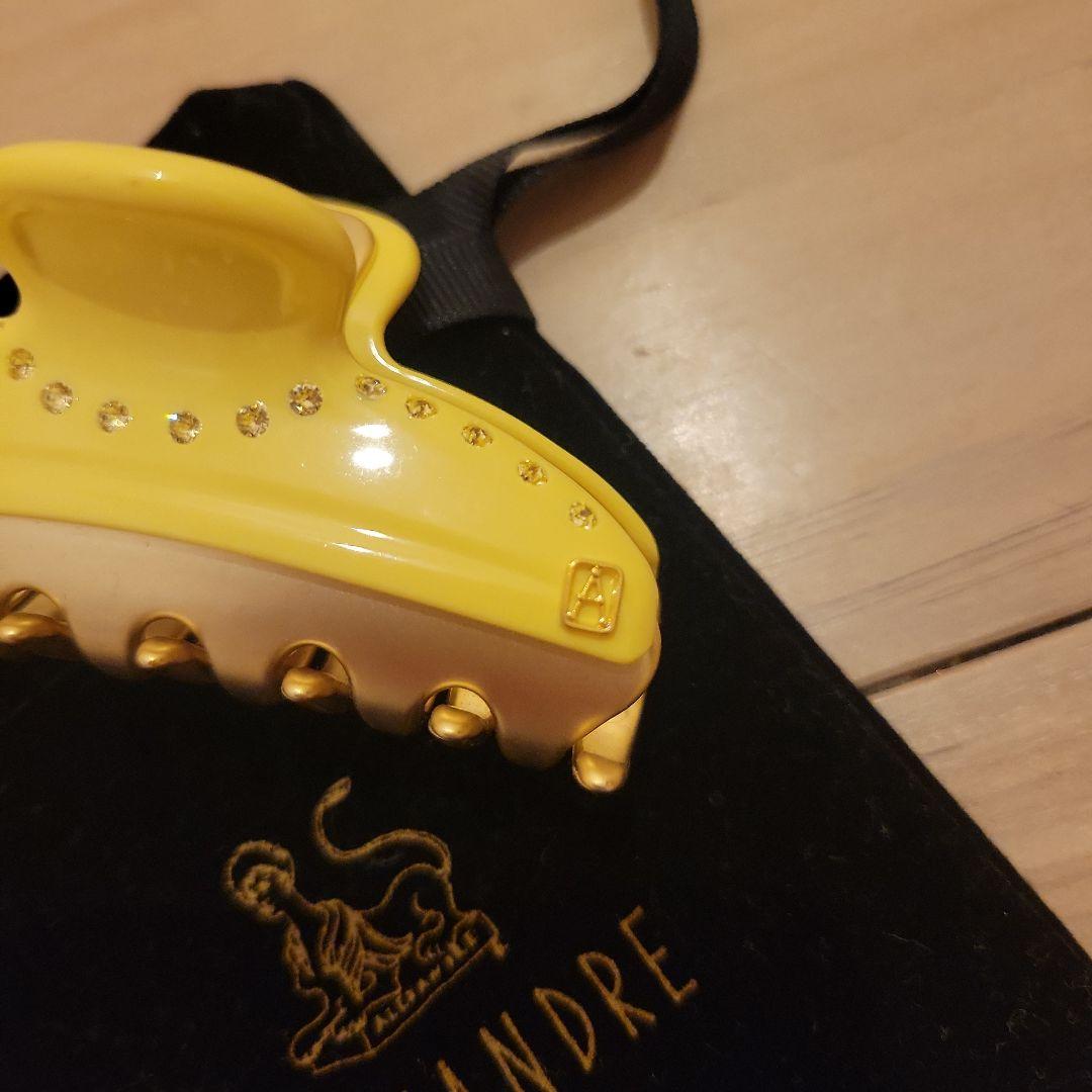 ⭐再値下げ⭐＊新品未使用＊　ALEXANDRE DE PARIS 　ヘアクリップ