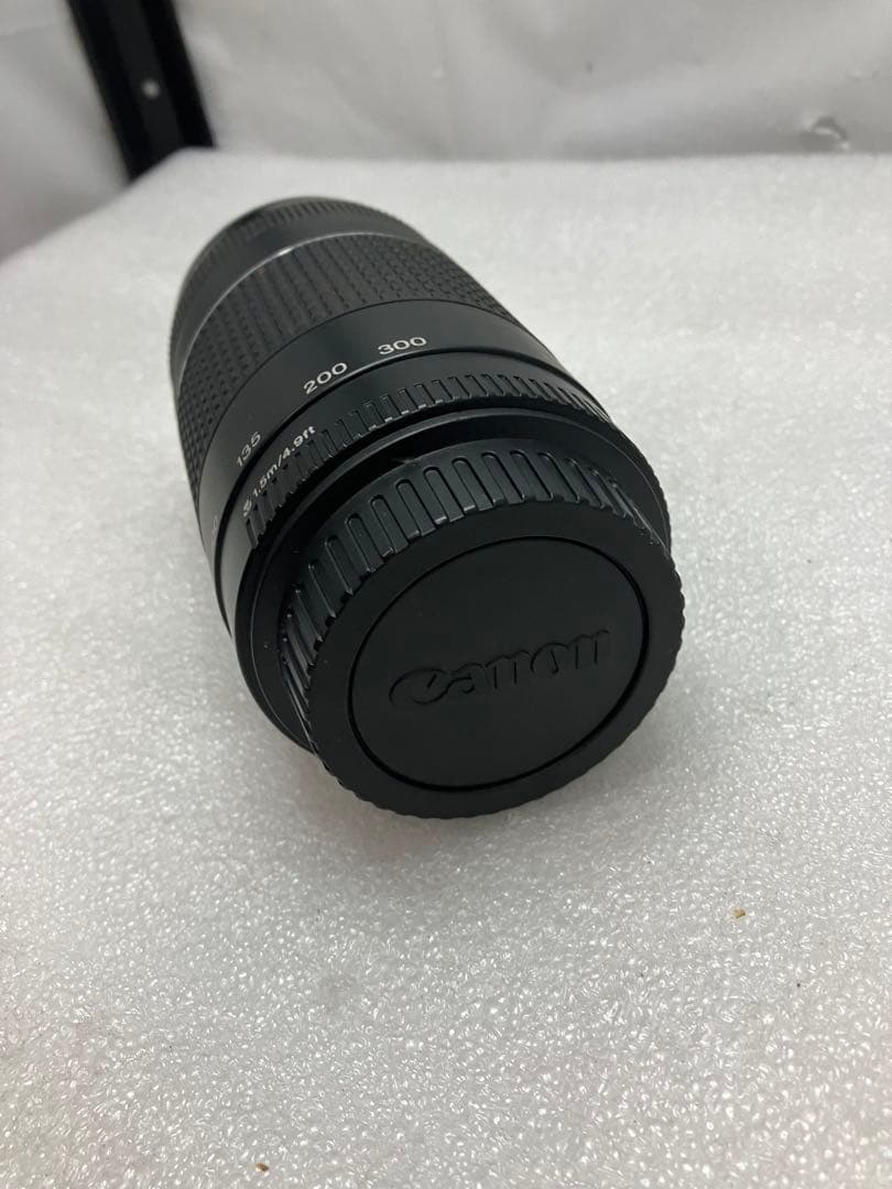 CANON純正定番望遠レンズ EF75-300mm f/4-5:6III型