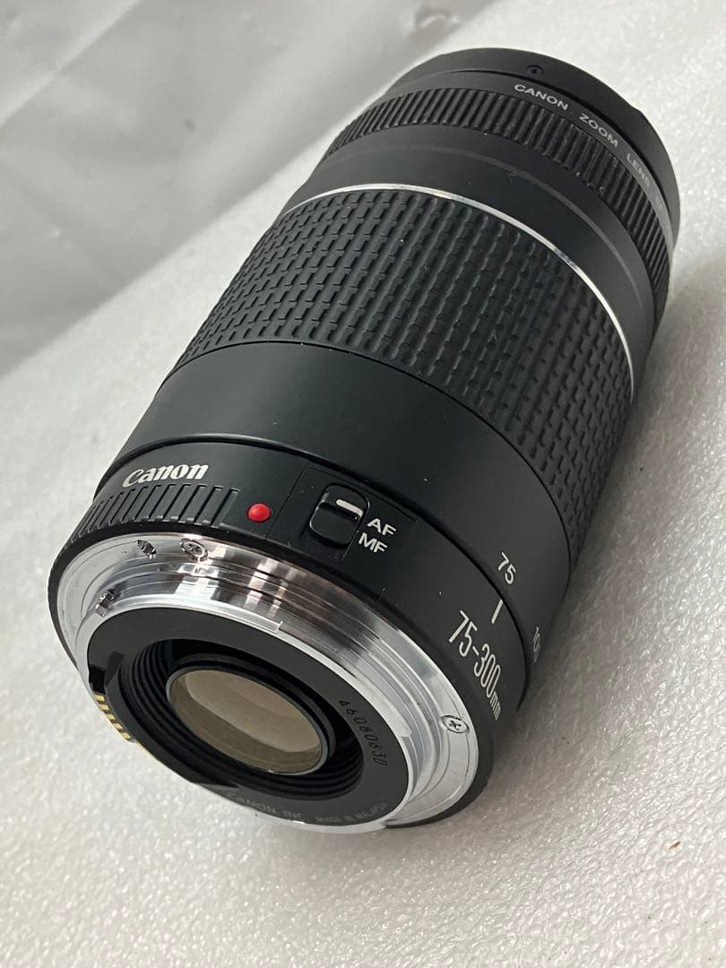 CANON純正定番望遠レンズ EF75-300mm f/4-5:6III型