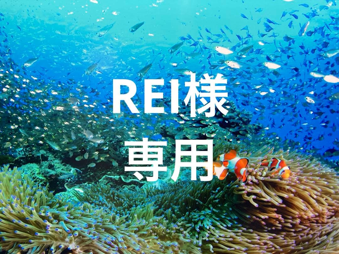 エンビロンCクエンスセラム4 プラス　クリームプラス