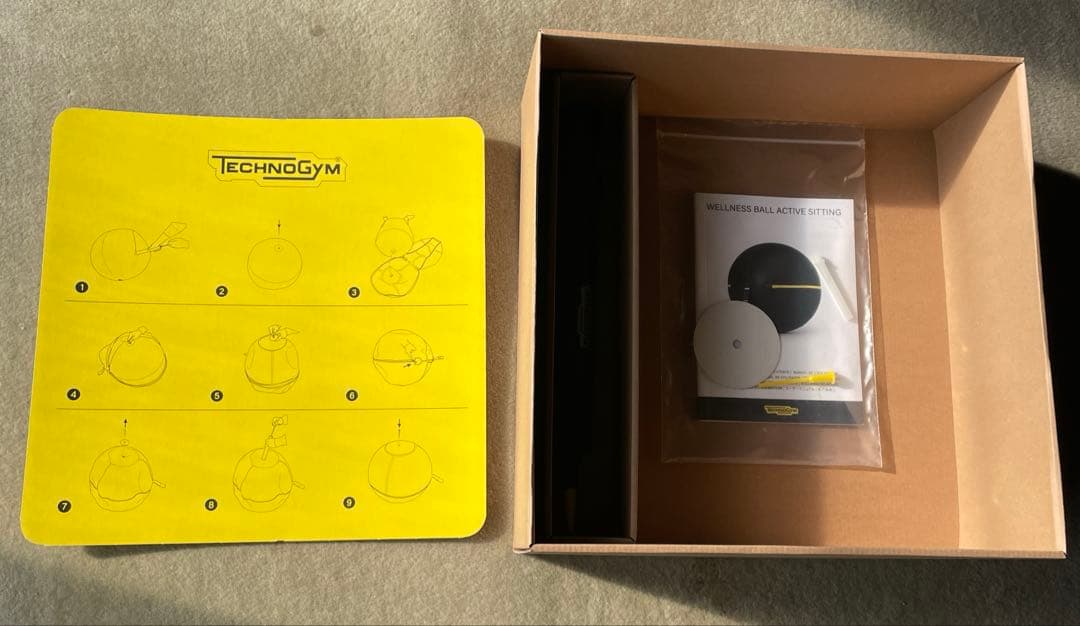 TECHNOGYM バランスボール 黒　55cm