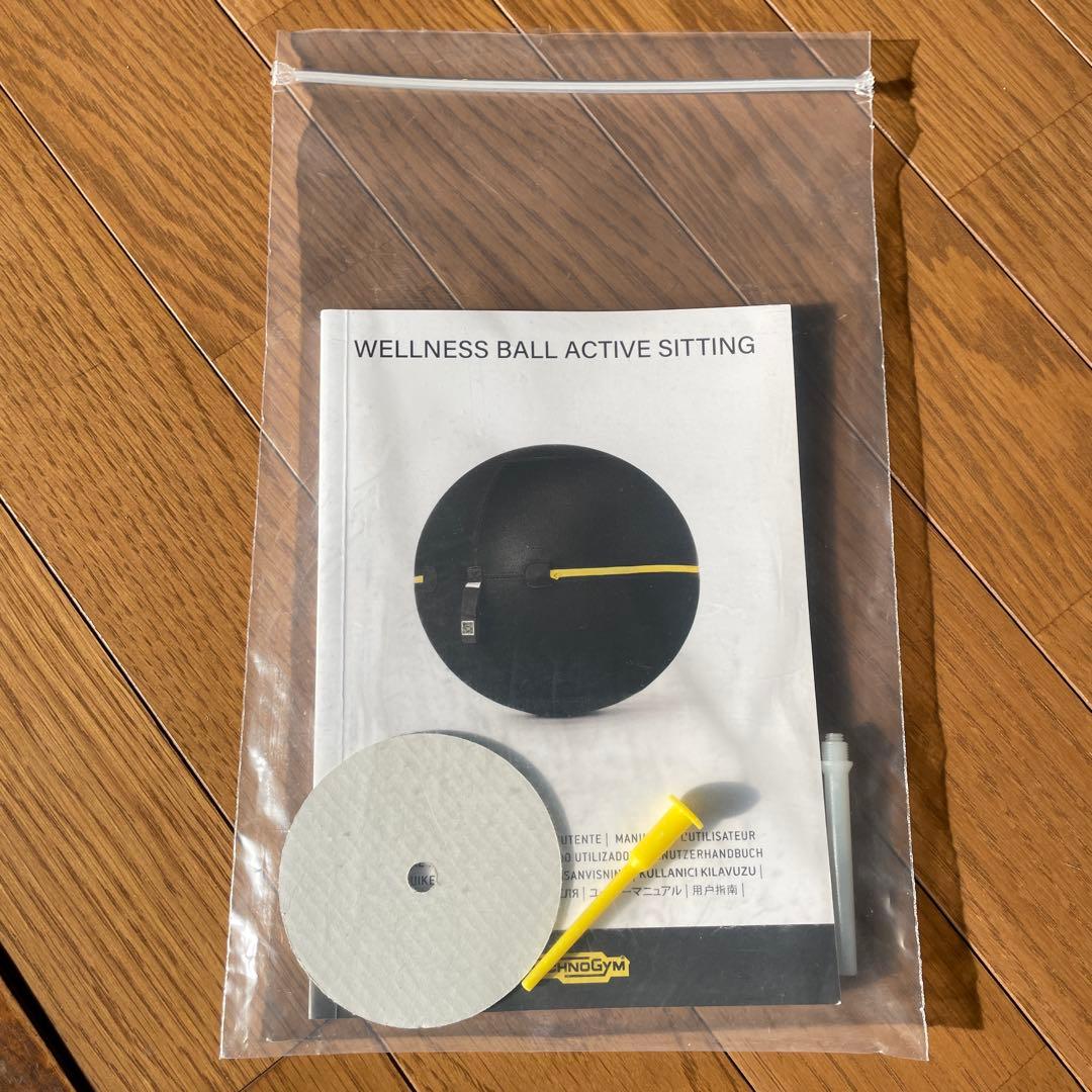 TECHNOGYM バランスボール 黒　55cm