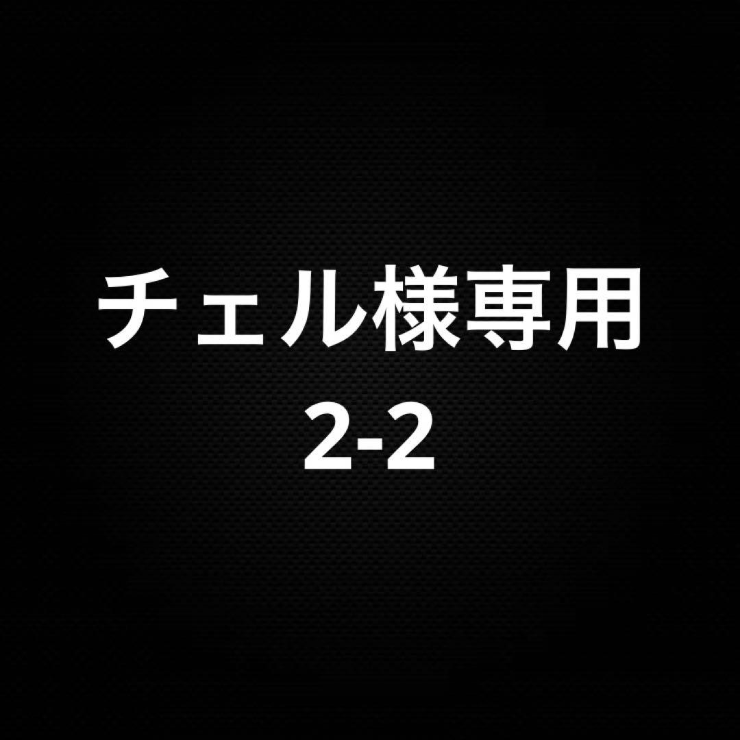 チェル2-2