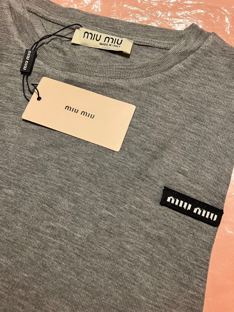 新品未使用♡1点のみ　シアーロンT グレー M