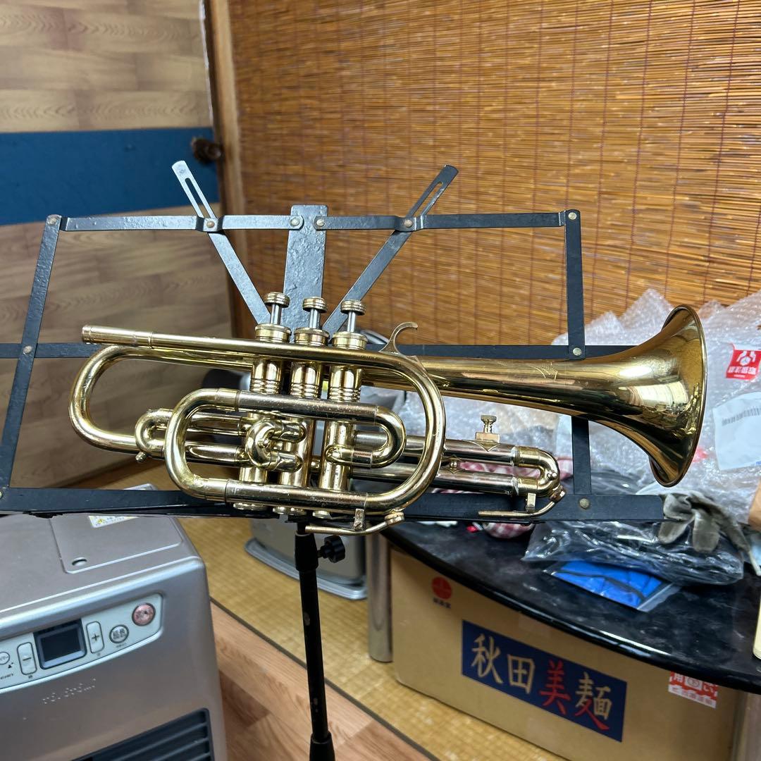 え*し様 ドイツ製コルネット