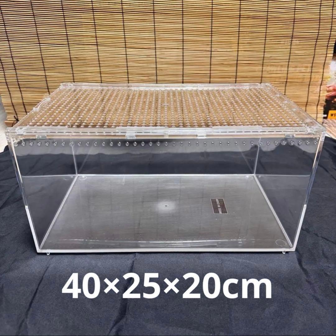 Oh-ちゃん　プラケースXL 2個