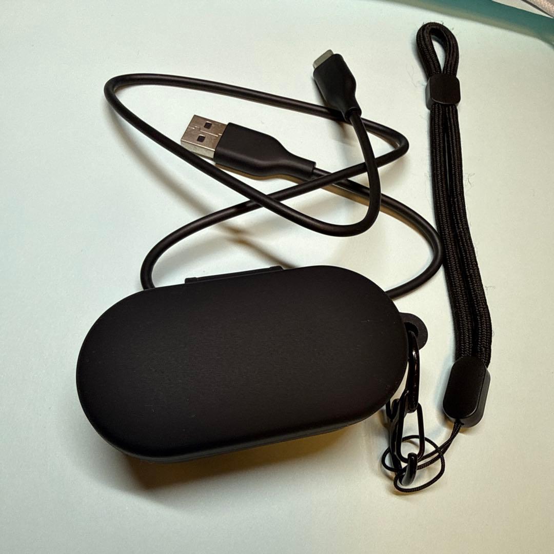 イヤホン DENON PearlPro