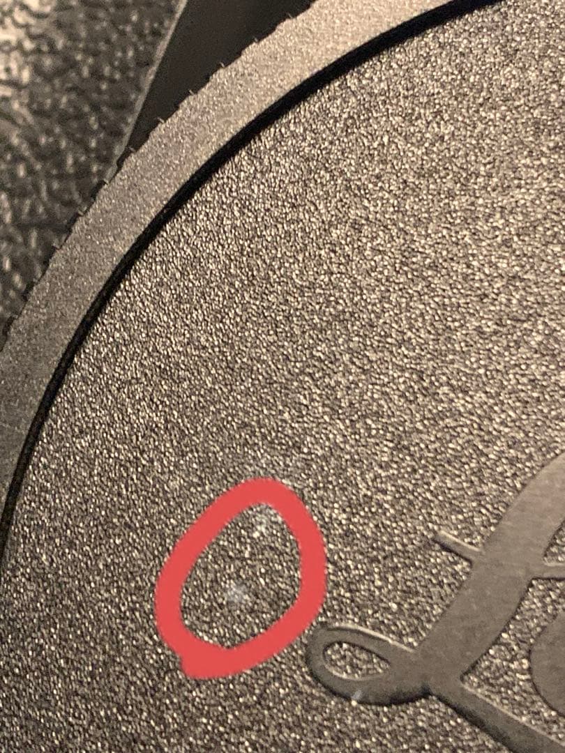 【CCD搭載＋純正テザー/レリーズ付】Leica S2 中判 バッテリー2個