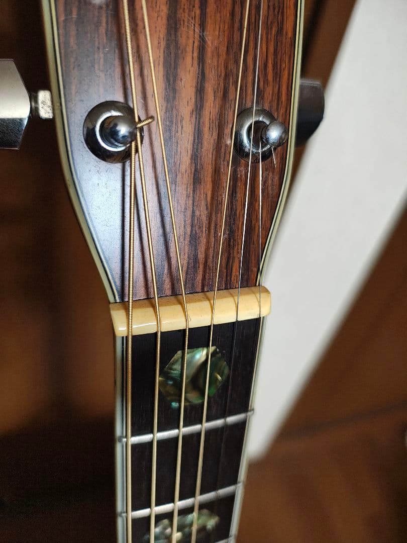 Morris アコースティックギター w40ドレッドノート