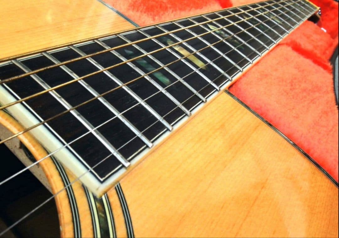 Morris アコースティックギター w40ドレッドノート