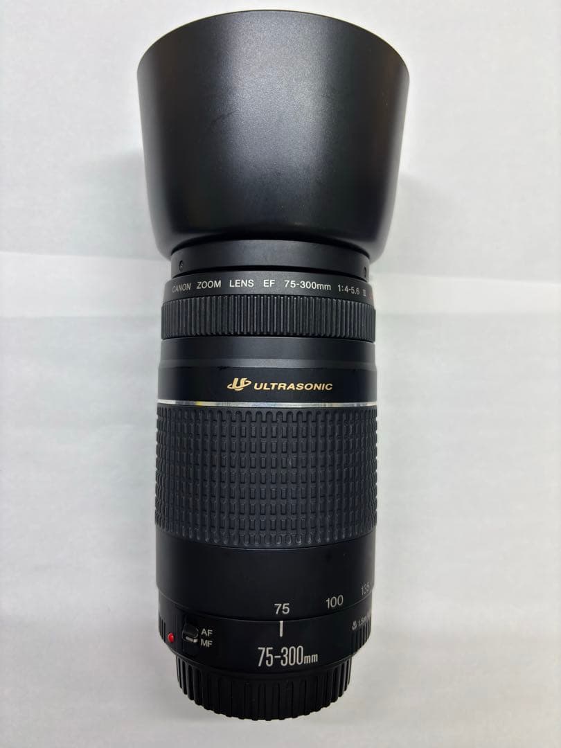 【美品】 Canon EF 75-300mm F4-5.6 III USM