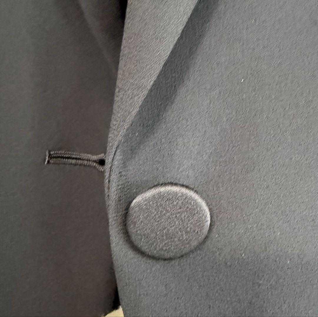 ANAYI 2025トリアセジョーゼットテーラード ジャケット