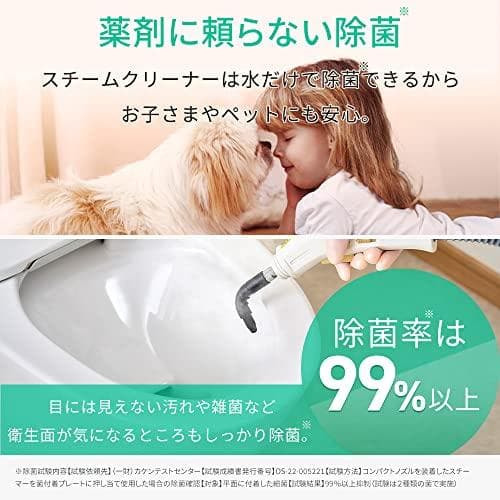 アイリスオーヤマ スチームクリーナー ハンディタイプ STM-305R-C po