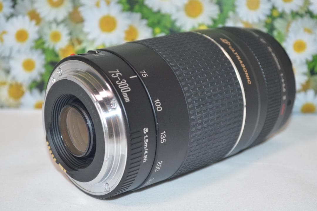 ❤美品❤ Canon EF 75-300mm F/4-5.6 III USM❤