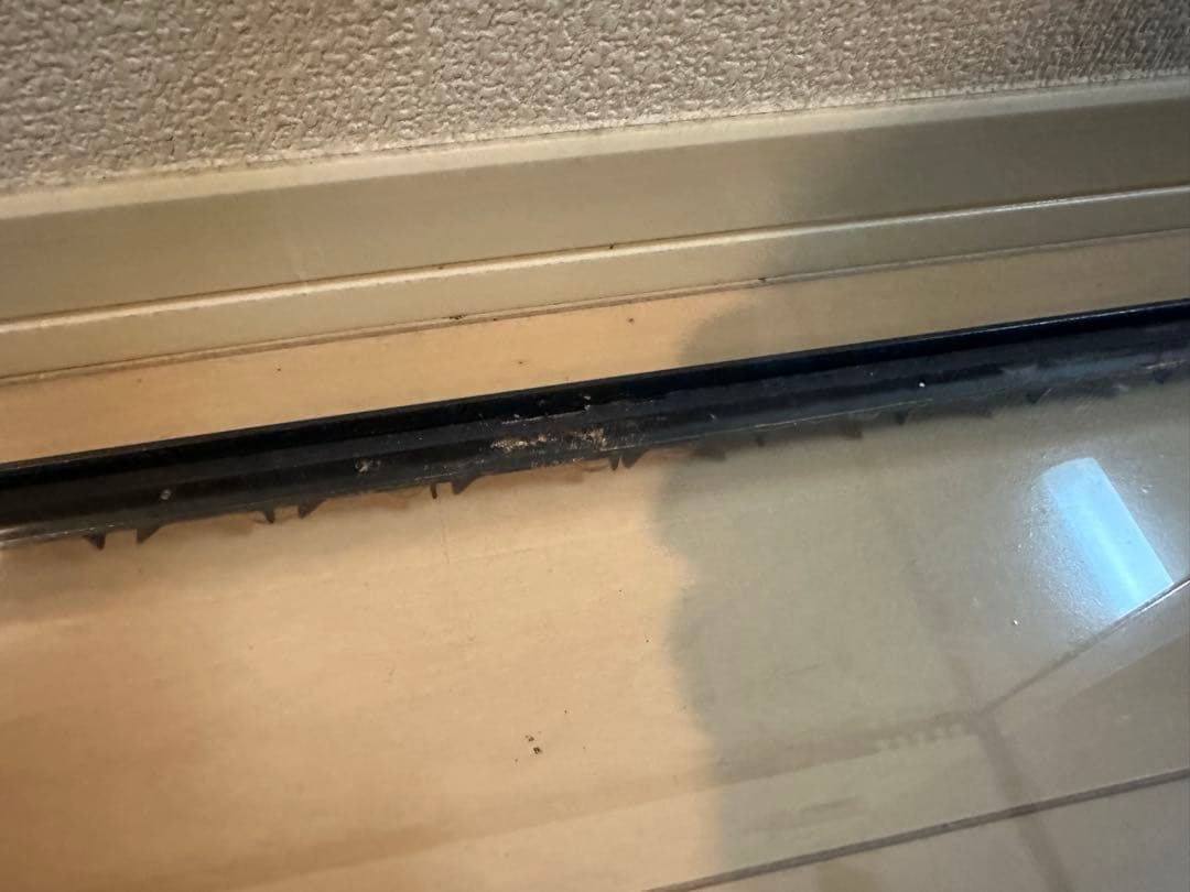 グラステラリウム　9045 ①