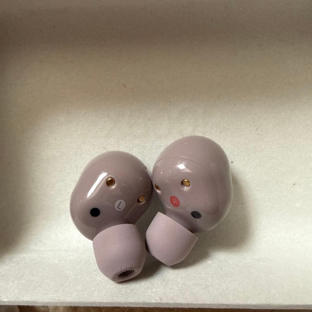 SONY Bluetoothワイヤレスイヤホン WF-1000XM5