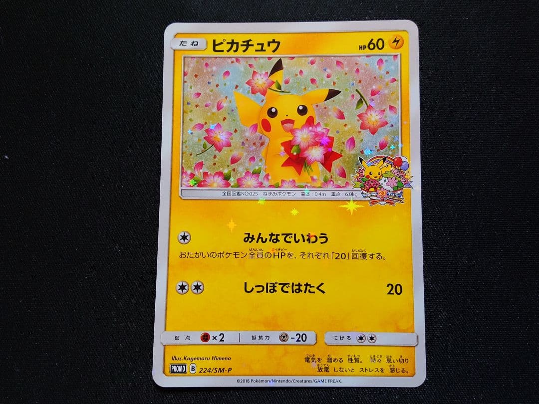 みんなでいわうピカチュウ　20th