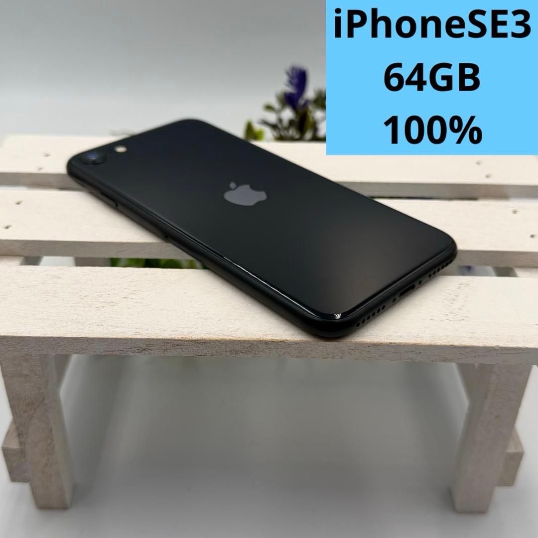 【美品】iPhone SE第3世代 64GB ミッドナイト 310