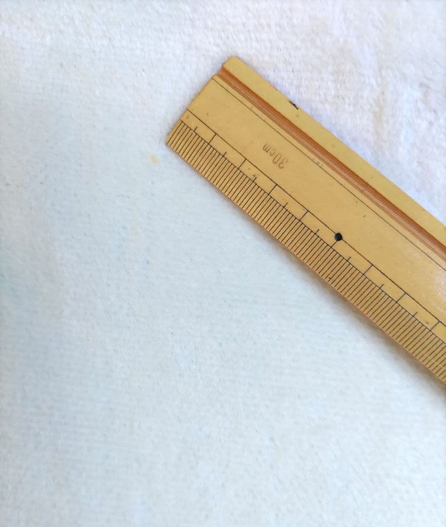 Chloeクロエ　コットンニューマイヤー毛布　綿ボアシーツ　シングル計２枚　新品