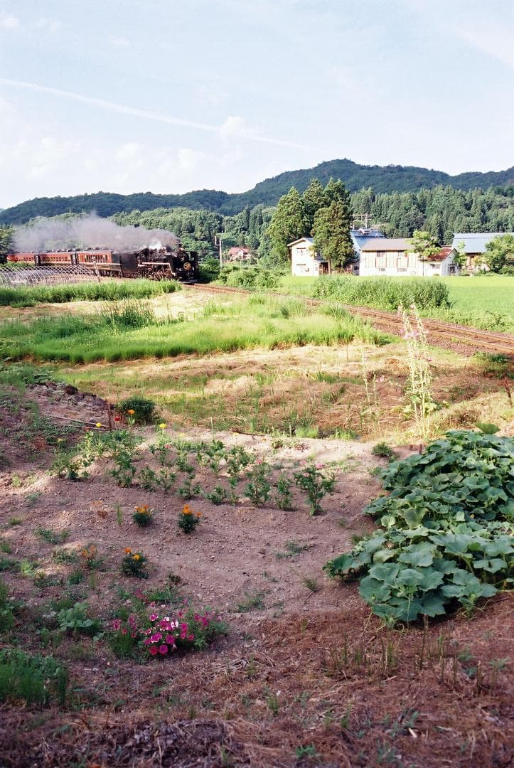 【実写確認済整備品】コンタックス139Quartz／ヤシカML50㎜f1.9付