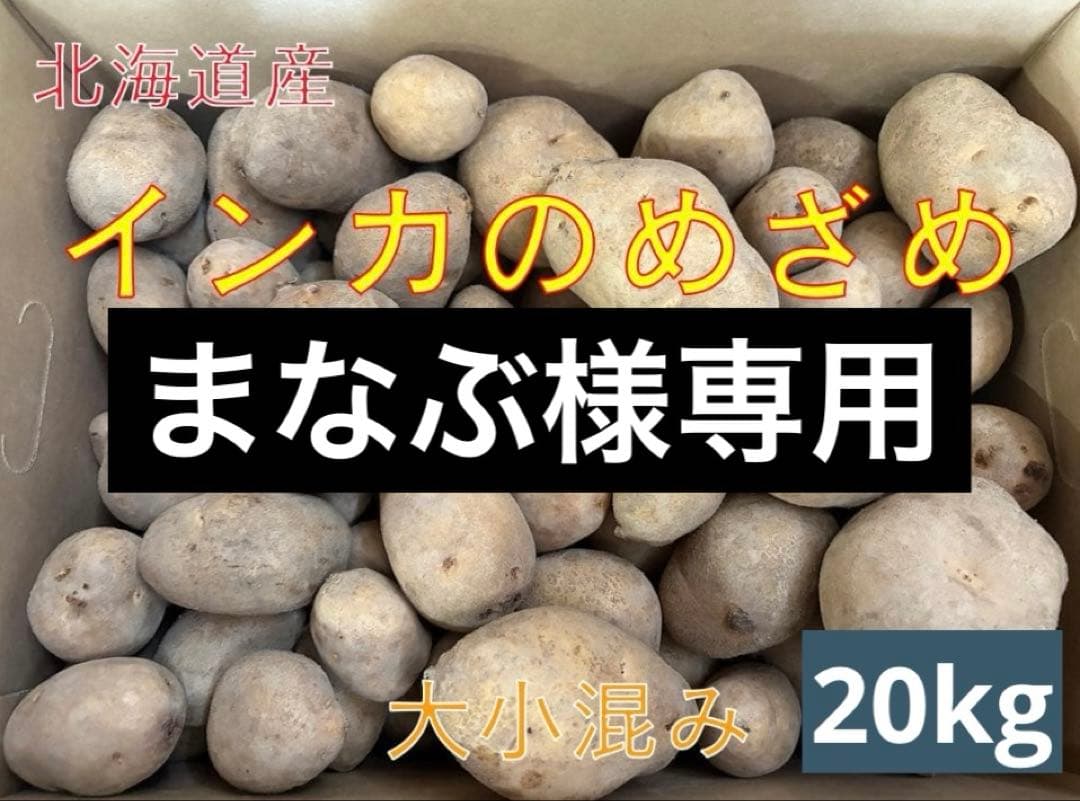 【まなぶ】北海道産じゃがいも（インカのめざめ）　大小混み20kg