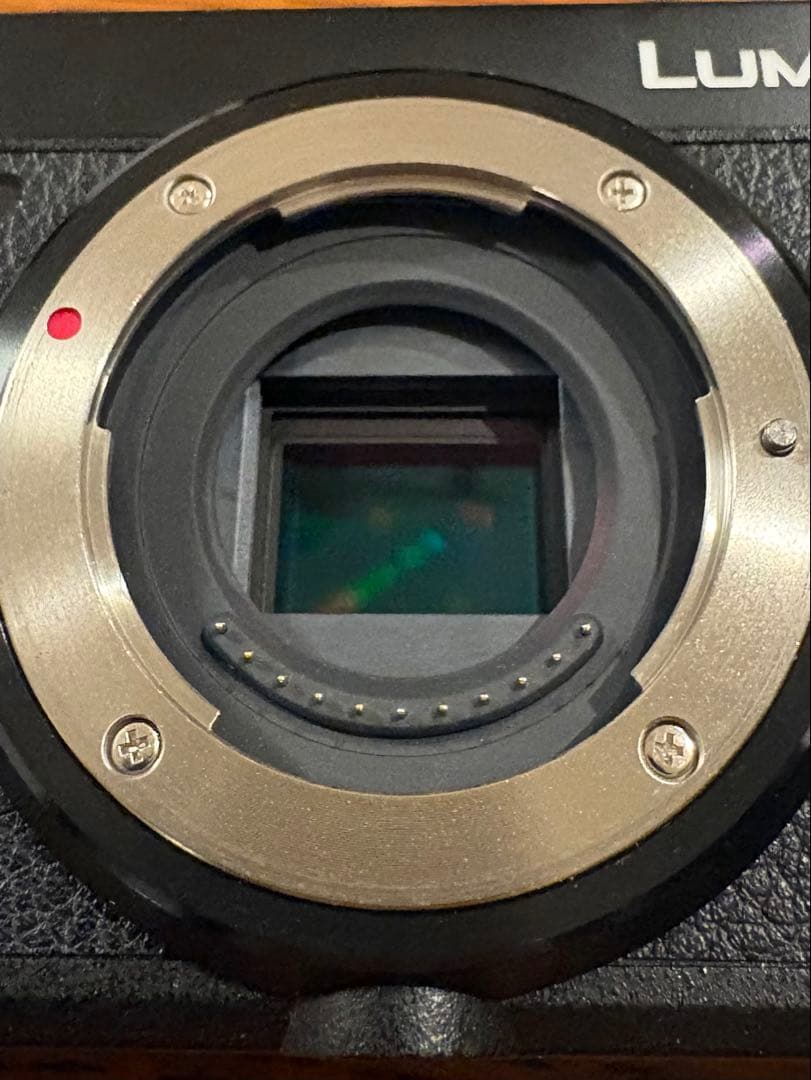 Lumix DC-GX7Mk3 ライカDG 12-60mm ズームレンズ