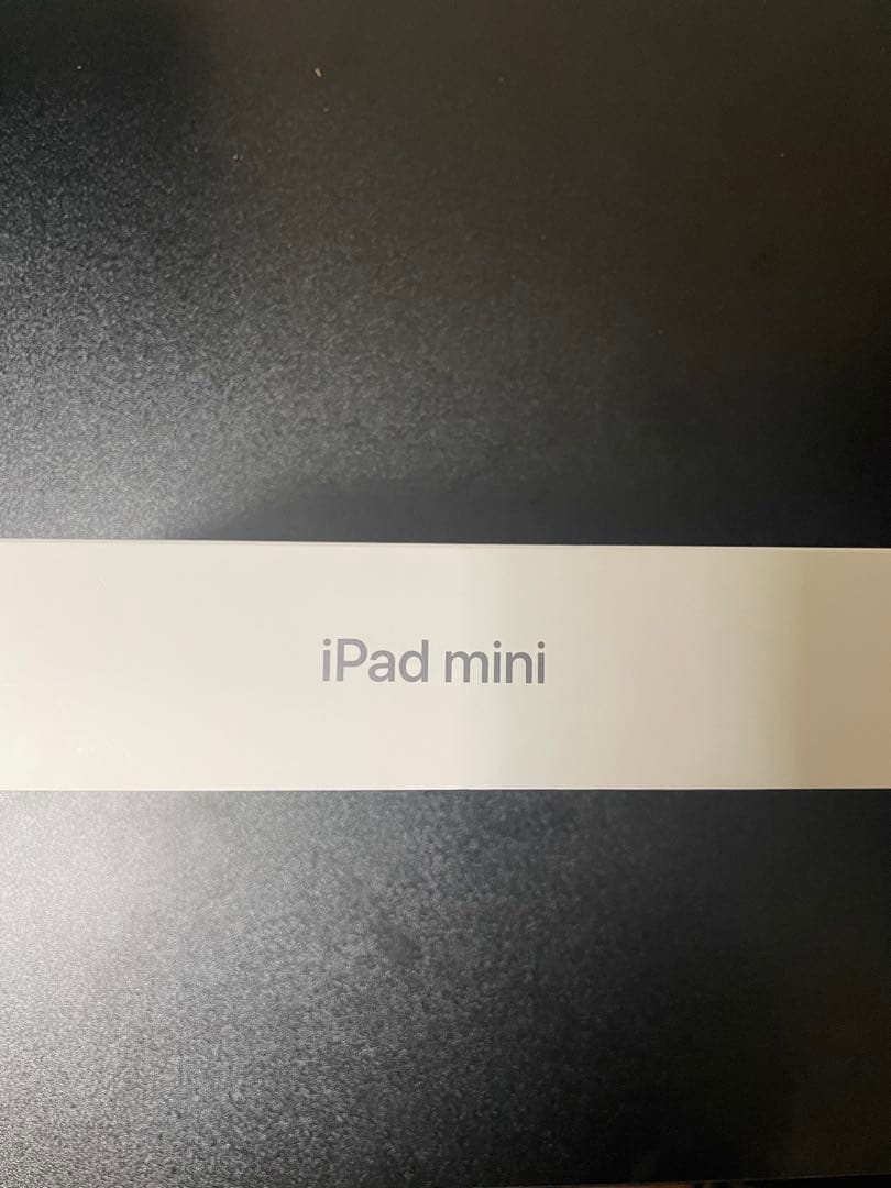 Apple iPad mini 256GB Wi-Fi 超美品