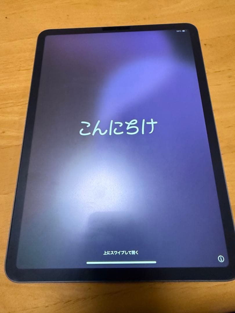 iPad Pro 第1世代 11インチ 256gb スペースグレイ