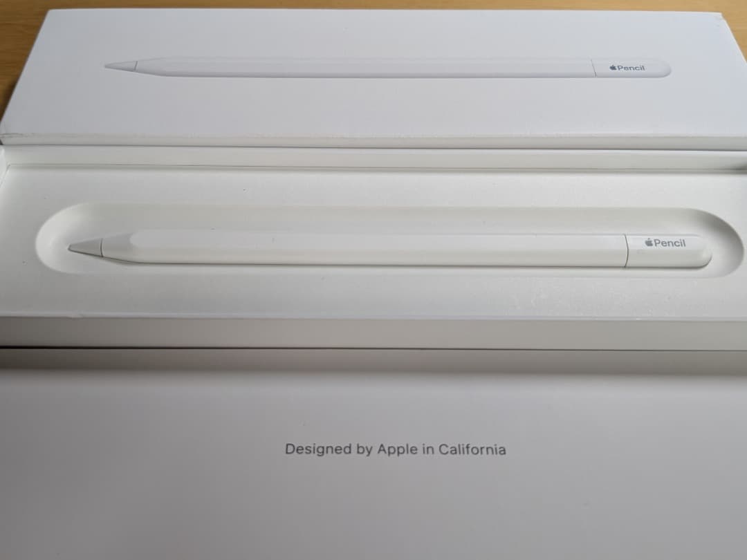 Apple Pencil (USB-C) | 美品 | 付属品完備（完品）