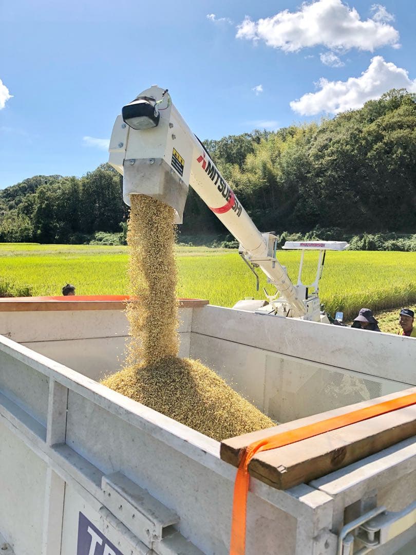 農家直送の美味しいお米 令和7年度産 ヒノヒカリ 20キロ