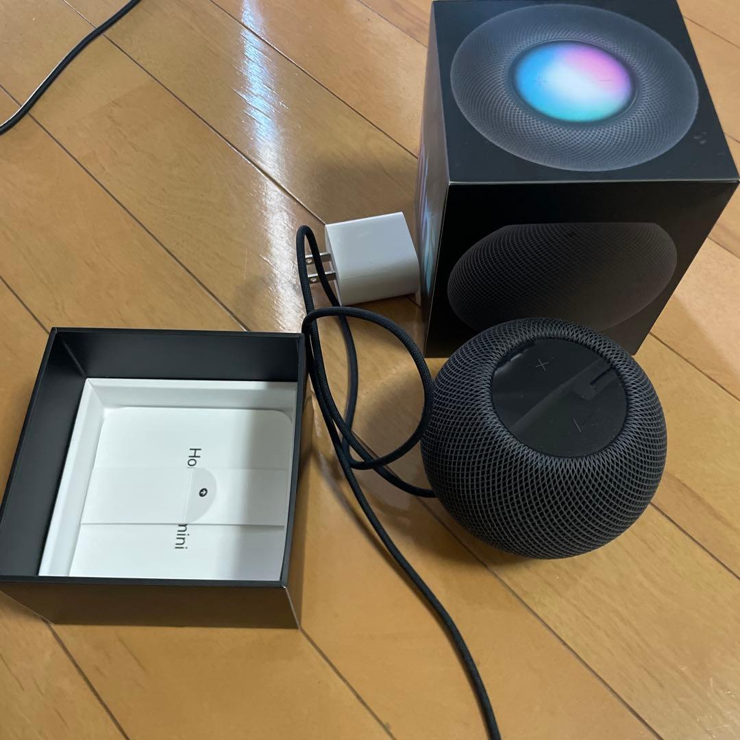 Apple Pod mini スペースグレー 本体
