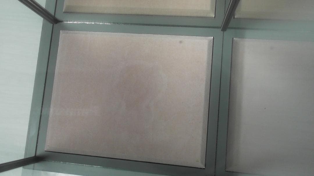 LLADRO　リヤドロ【リヤドロ専用ケース】　リアドロ　 インテリア　L513