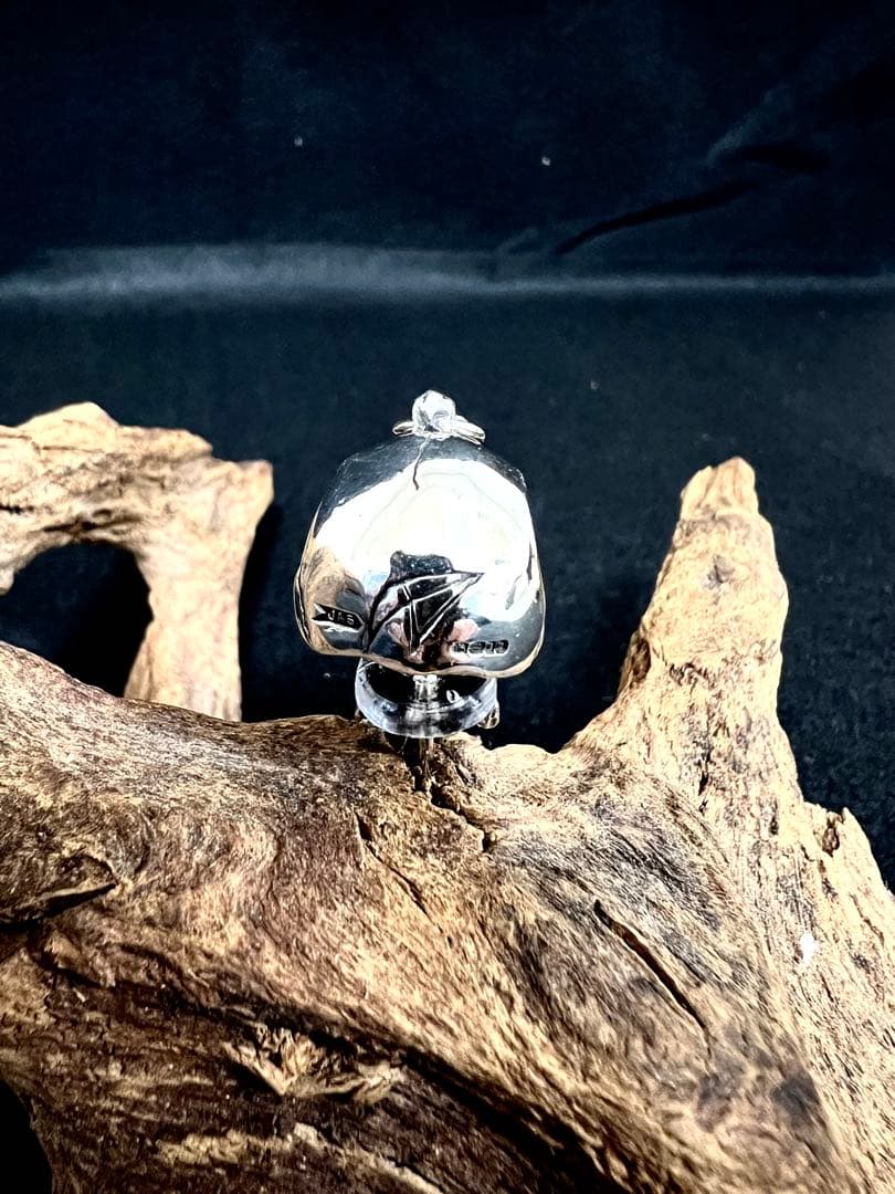 CRAZY PIG クレイジーピッグLarge Skull Hinged