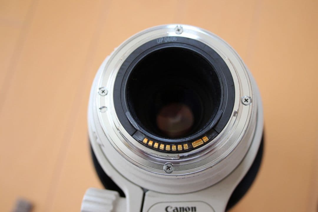 Canon EF100-400mm F4.5-5.6L IS　USM