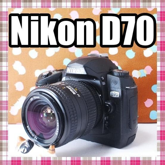 ✨お安くデビュー✨ショット数1071回✨Nikon D70 レンズセット