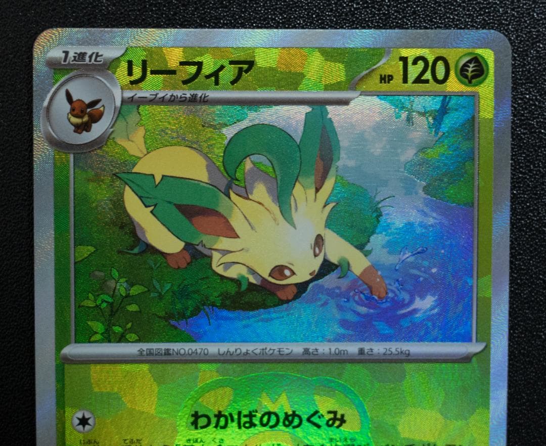 テラスタルフェス草セット