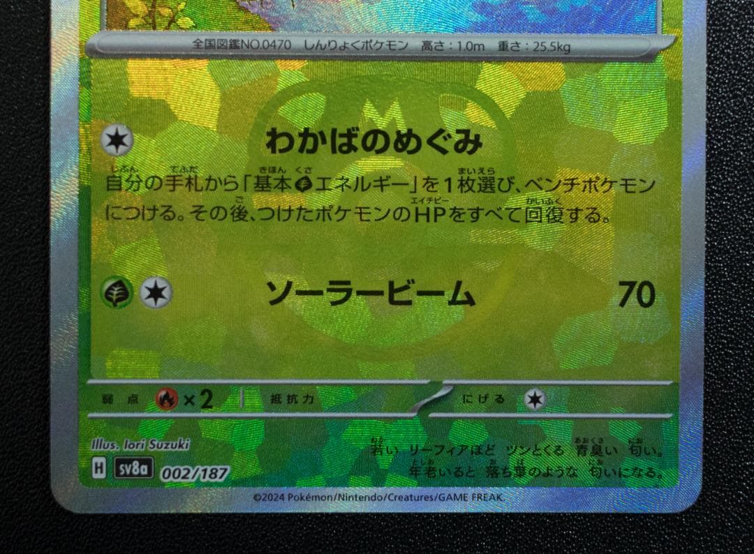 テラスタルフェス草セット