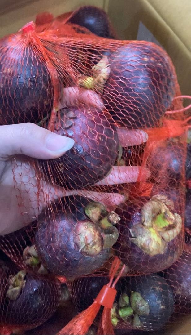 350.数量限定新鮮マンゴスチン山竹美の宝石6パック玉数お任せ常温発送