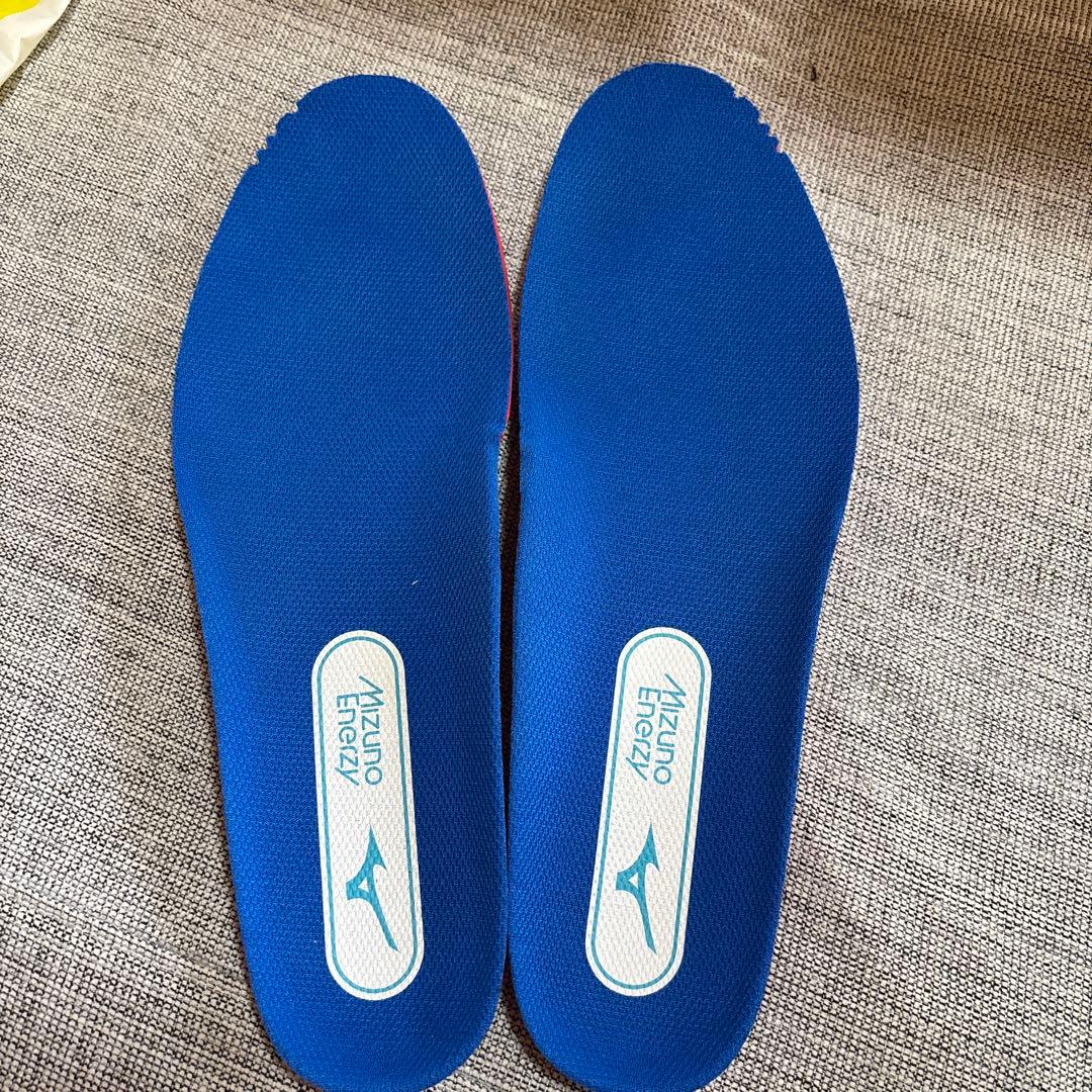 本日鳩ぽっぽさん専用