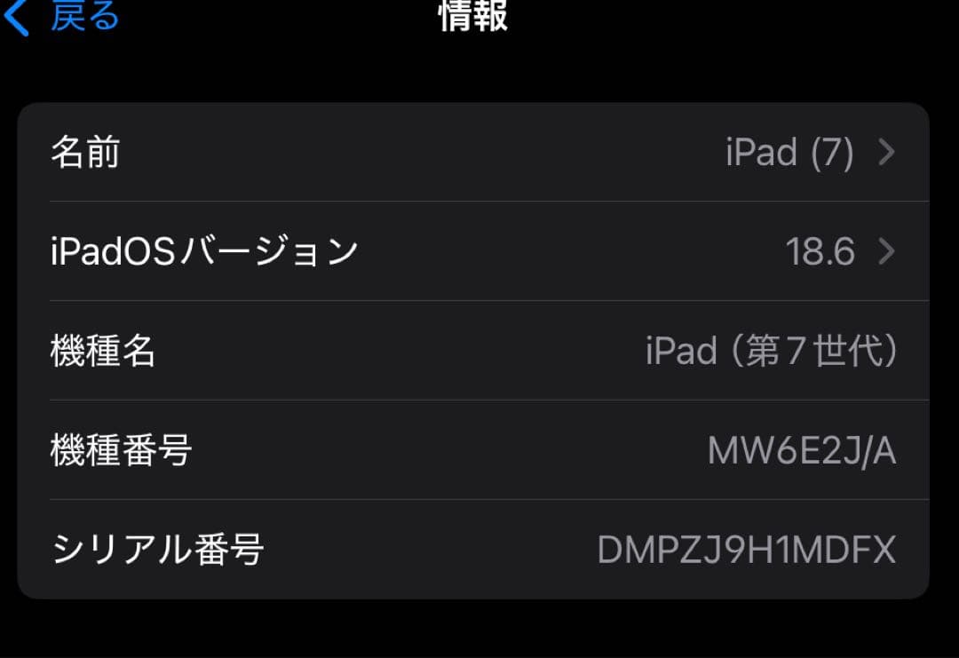 iPad 第7世代 128GB SIMフリー　初期化済・動作良好　ワンオーナー
