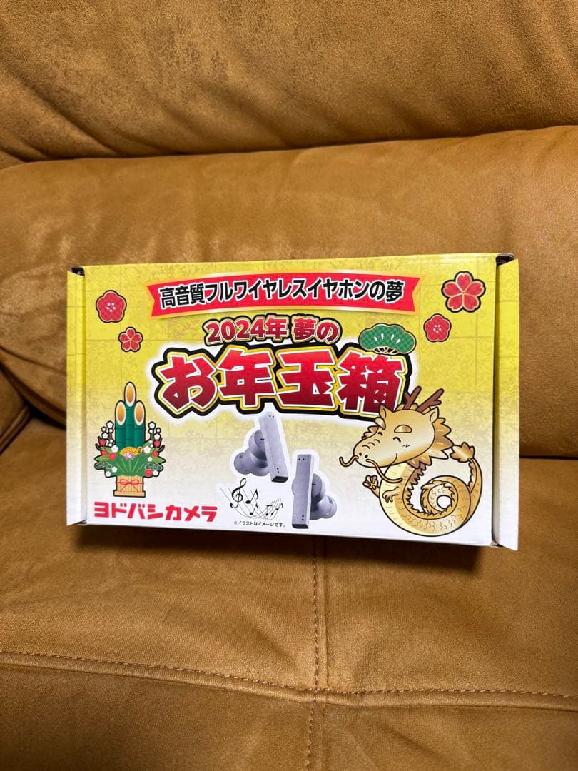 ヨドバシカメラ 夢のお年玉箱 高音質フルワイヤレスイヤホン夢 福袋