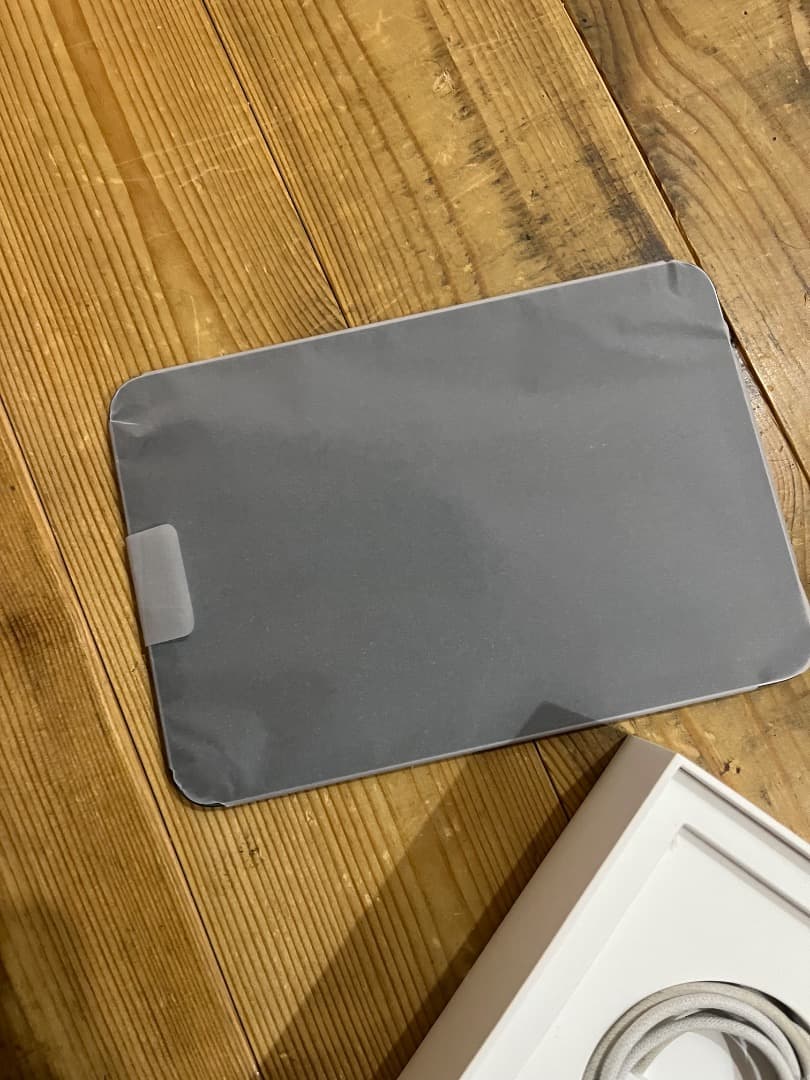 も*ん様 iPadmini　A17pro　256gb　スペースグレイ アップルケ