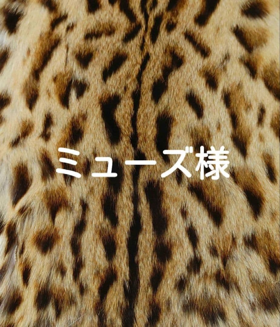 ミューズ 美しいダイドミンク ブラウン 染めブルーアイリス系 カフェオレ