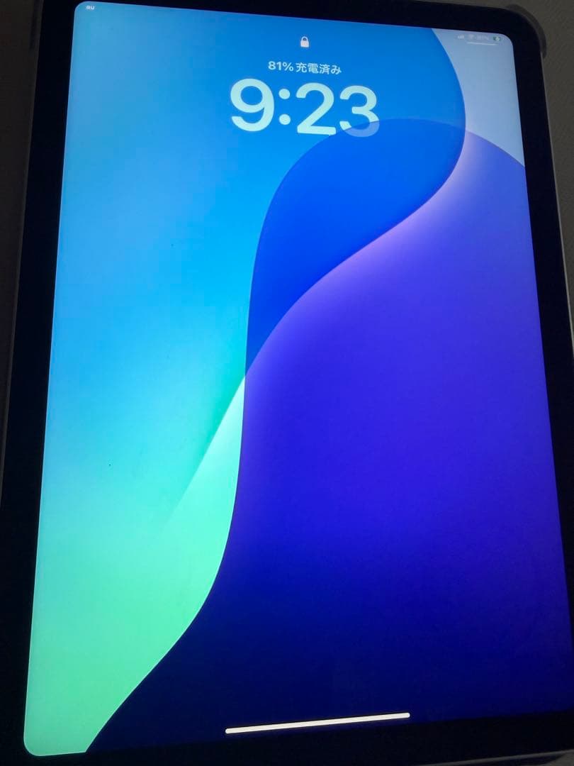 iPad 第１０世代　シルバー　６４GB 目立った傷汚れなし