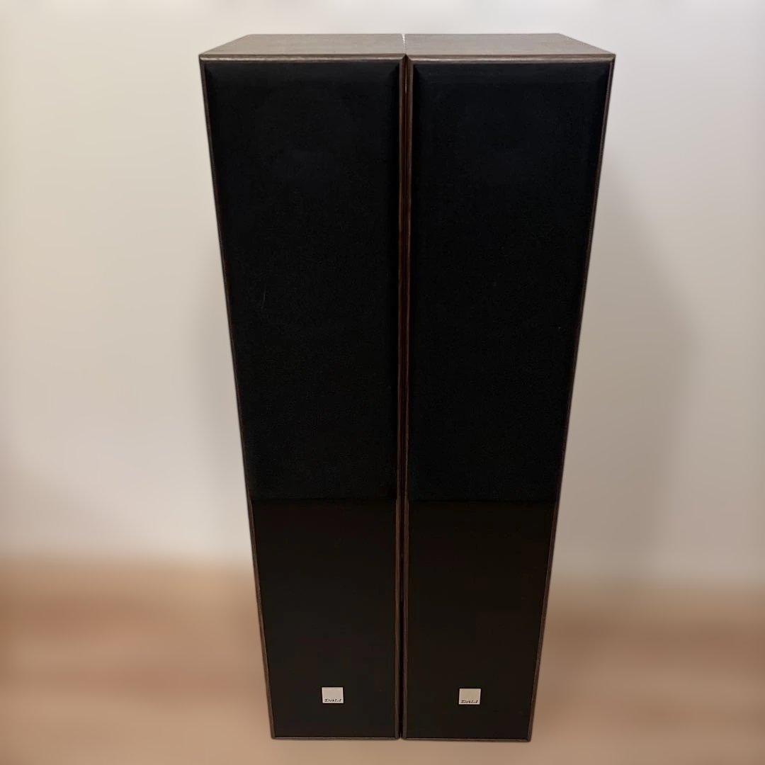 DALI SPEKTOR 6 LRセット