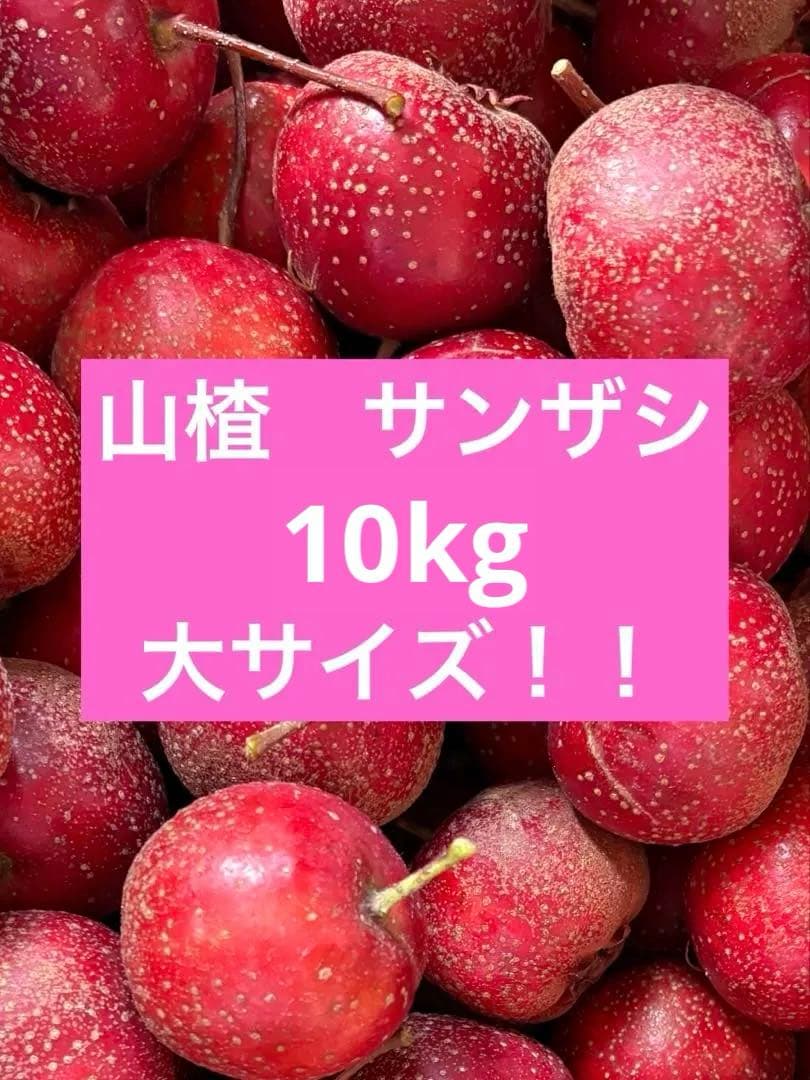 Ikeda サンザシ　10kg 山楂
